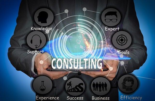 Immigration Consulting